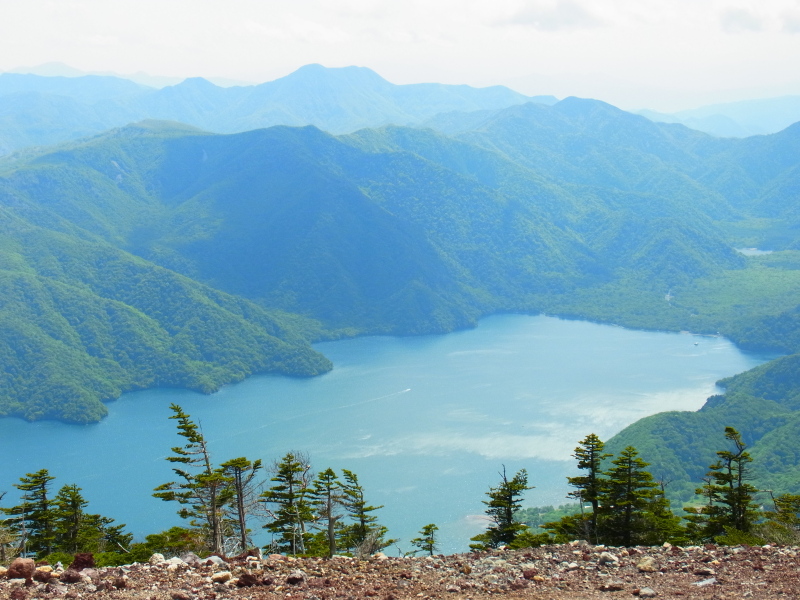 b0190242_10303879.jpg