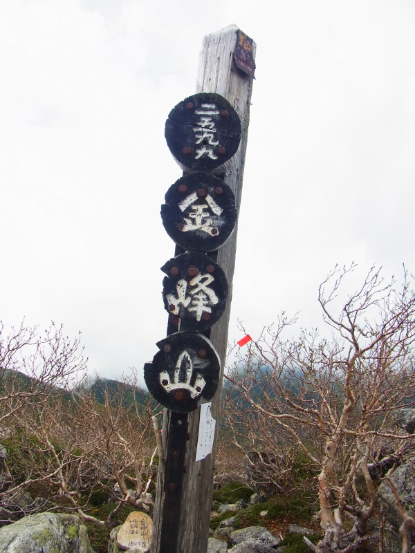 b0190242_22104670.jpg