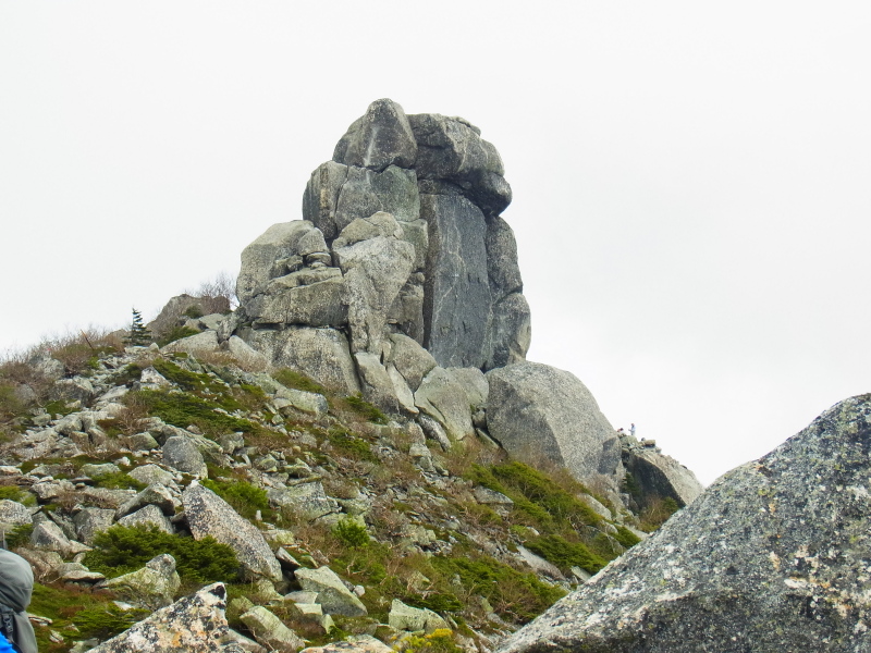 b0190242_22125827.jpg