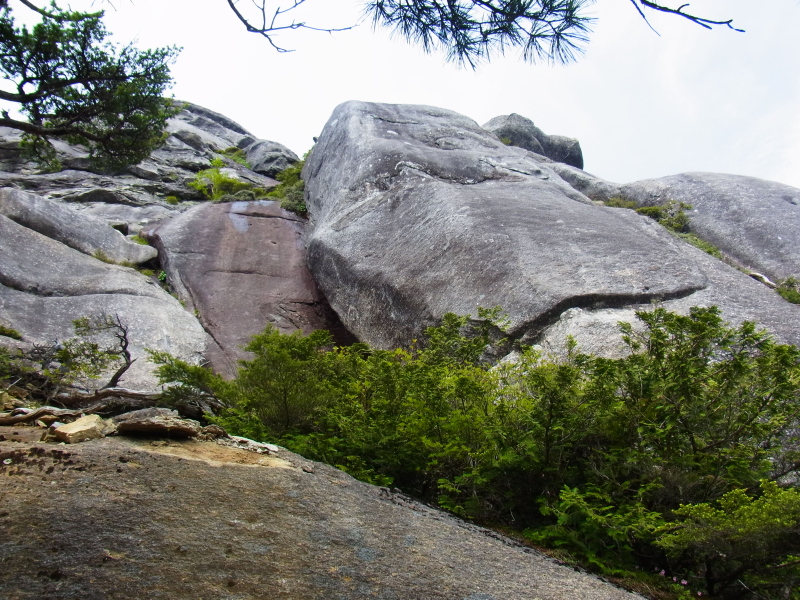 b0190242_22153369.jpg