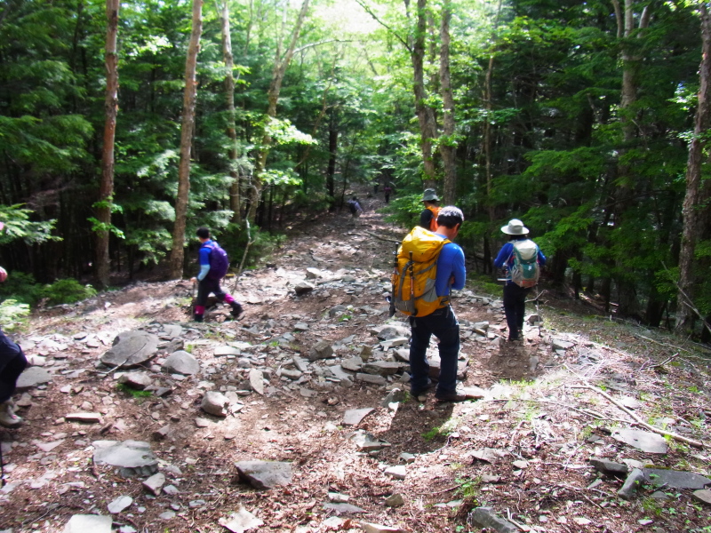b0190242_22173344.jpg