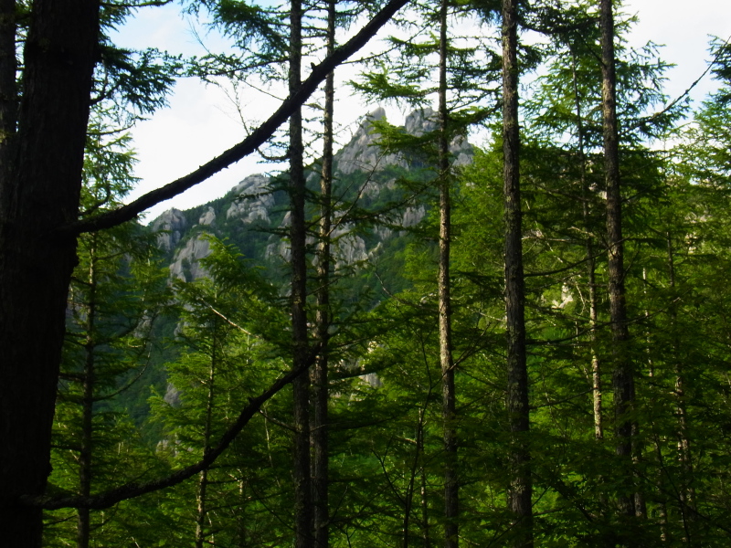 b0190242_22175557.jpg