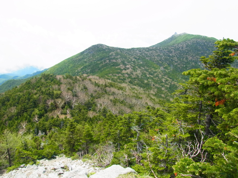 b0190242_2263593.jpg