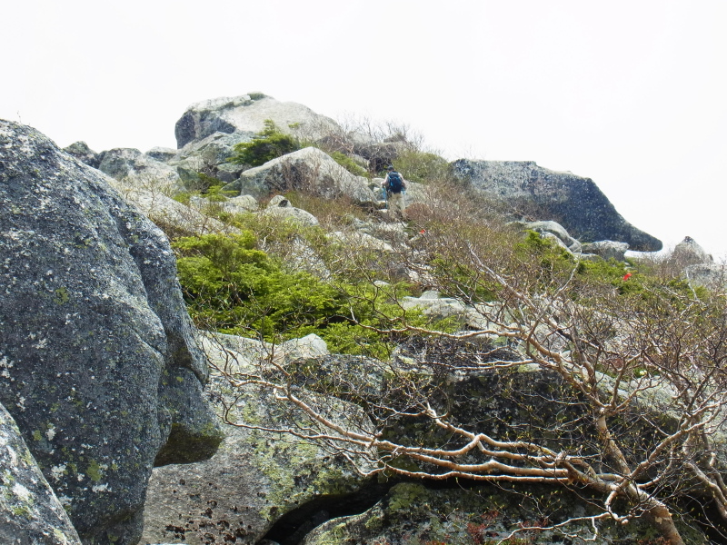 b0190242_2284135.jpg