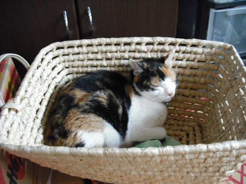 c0194042_204335100.jpg