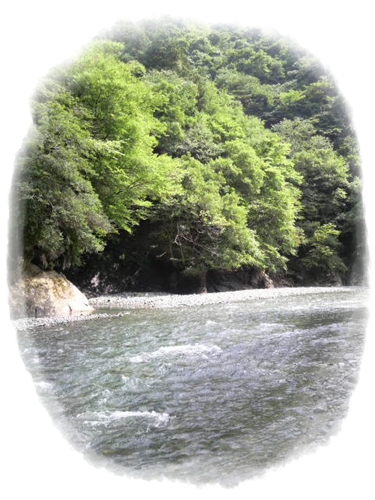 d0013149_15155696.jpg