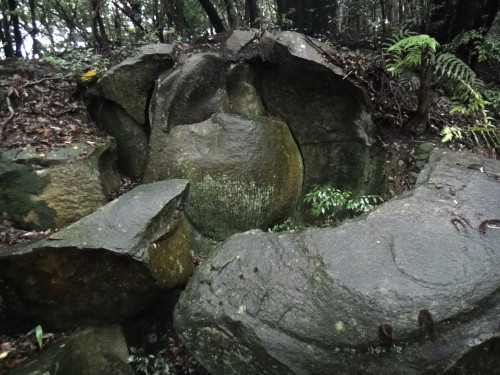 c0179351_1931627.jpg