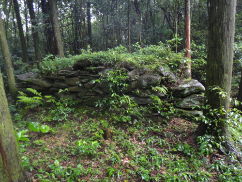 c0179351_19475153.jpg