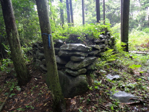 c0179351_19491348.jpg