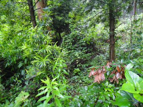 c0179351_19504218.jpg