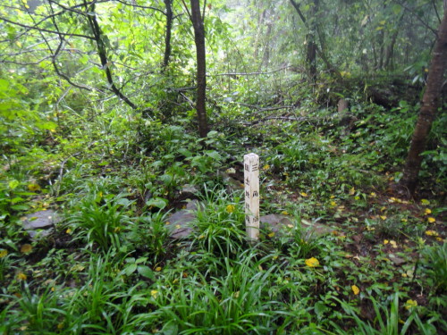 c0179351_1951459.jpg