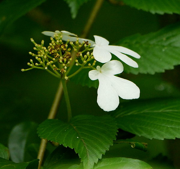 d0091754_1404989.jpg