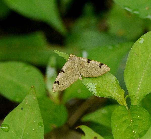 d0091754_201052.jpg