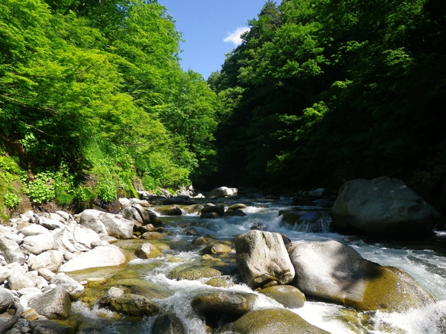 b0177355_2230326.jpg