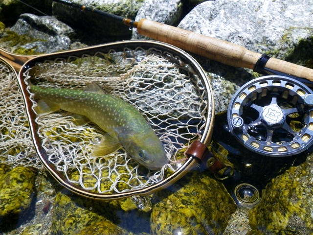 b0177355_2233337.jpg