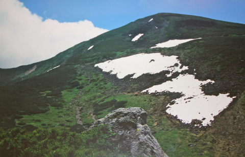 a0248459_1983018.jpg