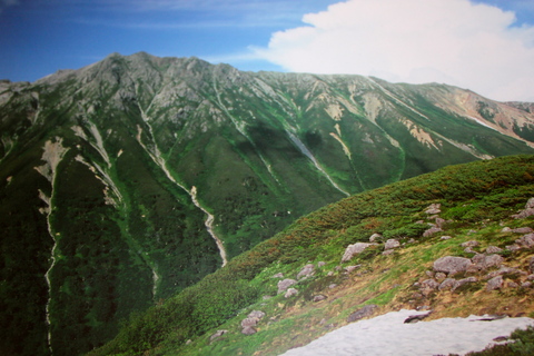 a0248459_1991365.jpg