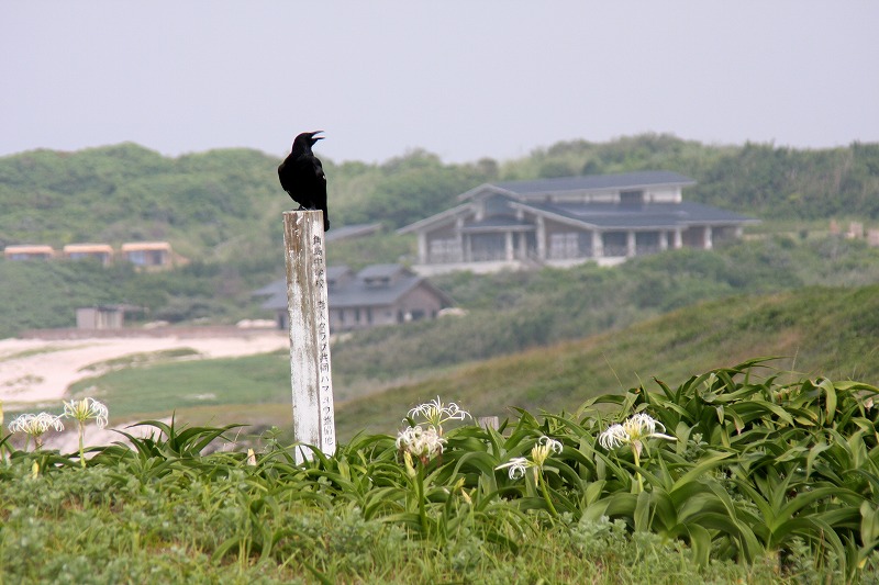 d0244960_21355251.jpg