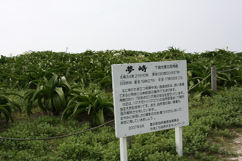 d0244960_21372934.jpg