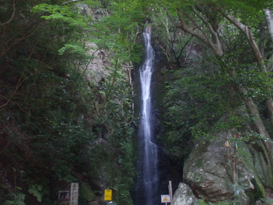 d0063263_22382346.jpg