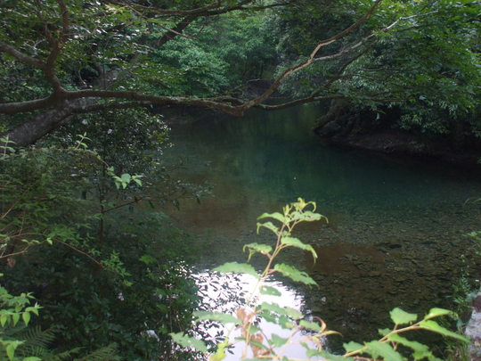 d0063263_22384926.jpg