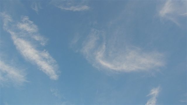 a0123465_01113.jpg
