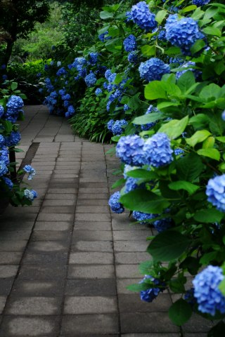 e0045768_2264888.jpg