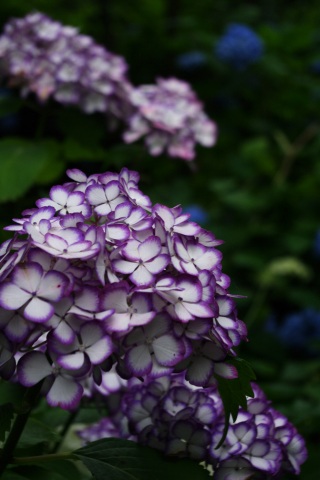 e0045768_2282240.jpg