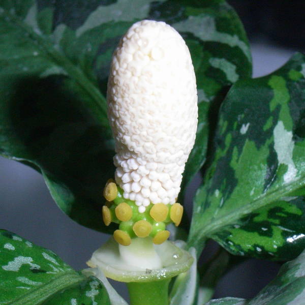d0249970_18392950.jpg