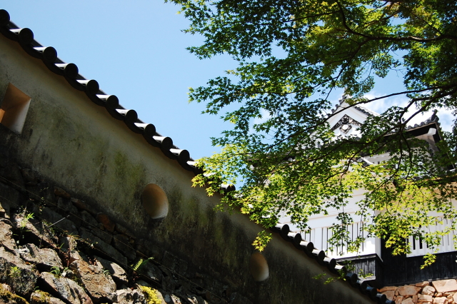d0179983_16181159.jpg
