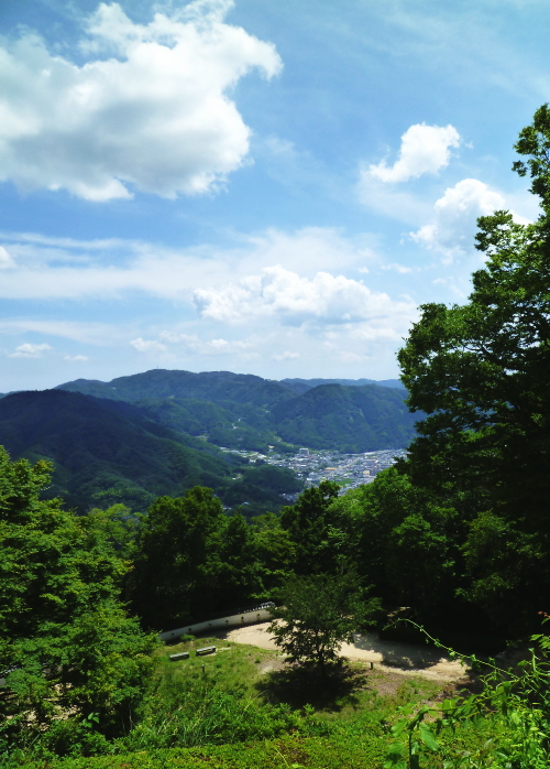 d0179983_1620124.jpg