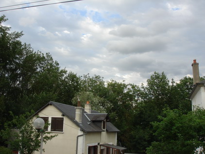 a0247585_661342.jpg