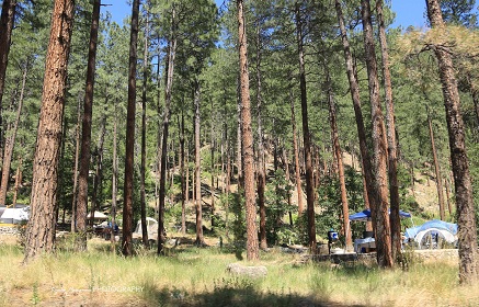 e0148185_10191767.jpg