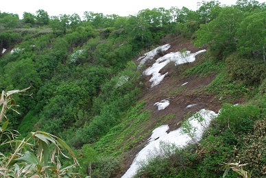 a0133886_1023780.jpg