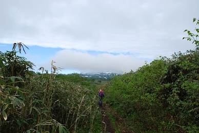 a0133886_1045931.jpg
