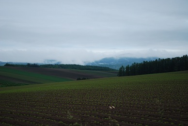 a0133886_9335564.jpg