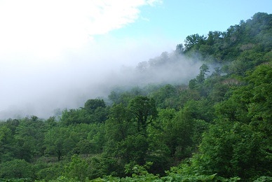 a0133886_9403398.jpg