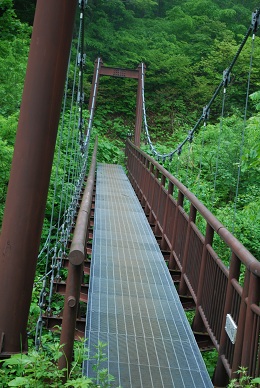 a0133886_9483021.jpg
