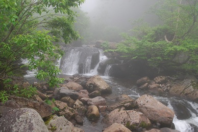 a0133886_9512370.jpg