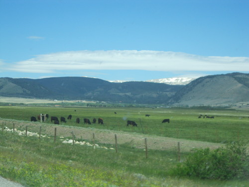 b0234096_894455.jpg