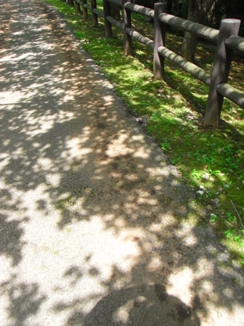 b0183497_1532034.jpg