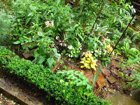 f0178897_10485093.jpg