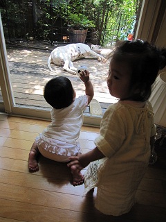 c0152002_18342884.jpg