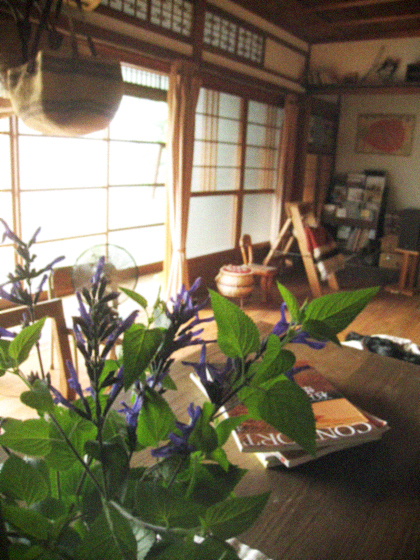 d0077603_10313055.jpg