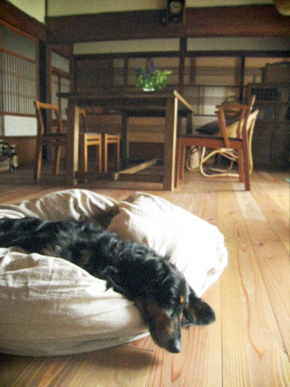 d0077603_1032347.jpg