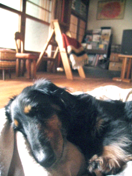 d0077603_10471580.jpg