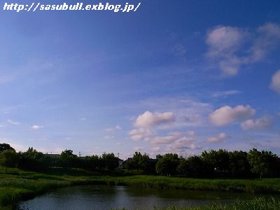 e0145805_19151764.jpg
