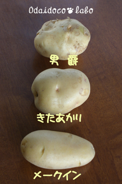 b0238306_1726980.jpg