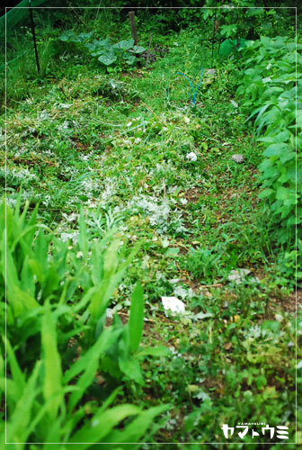 e0207511_22155085.jpg