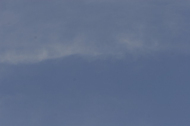 a0098513_10151014.jpg
